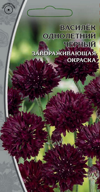 Василек однолетний черный 0,1 гр цв п