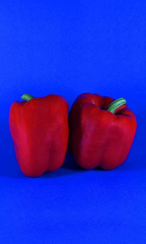 Перец сладкий Русский Деликатес (УД) 20 шт. цв.п.