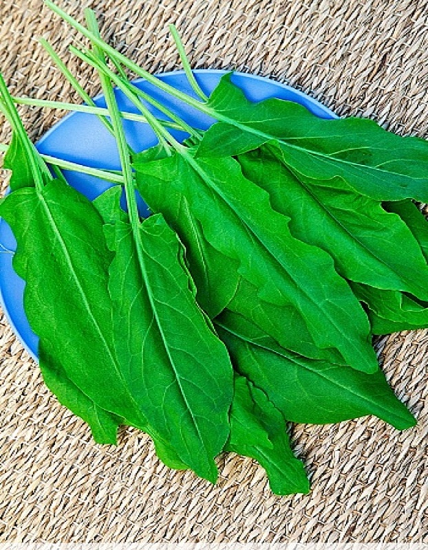 Щавель Крупнолистный 1 гр цв.п