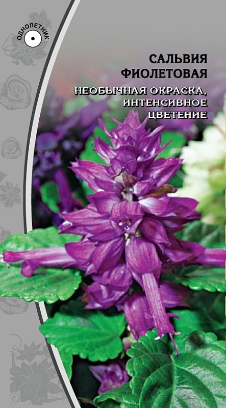 Сальвия Фиолетовая  0,1 гр
