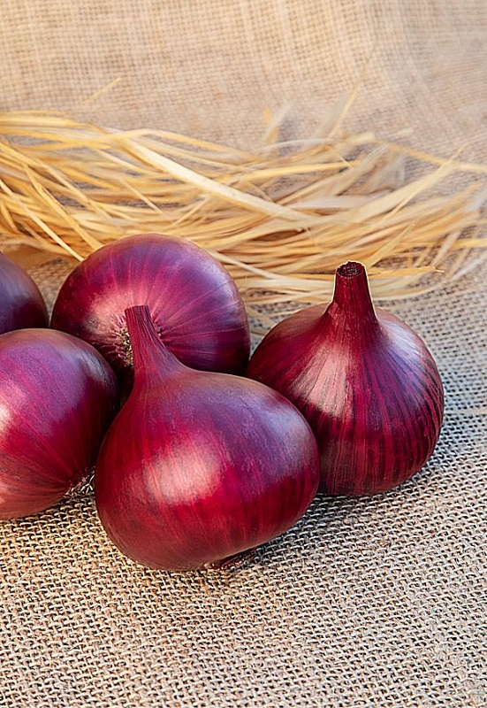 Лук репчатый Красный Кардинал 0,5 гр цв.п.