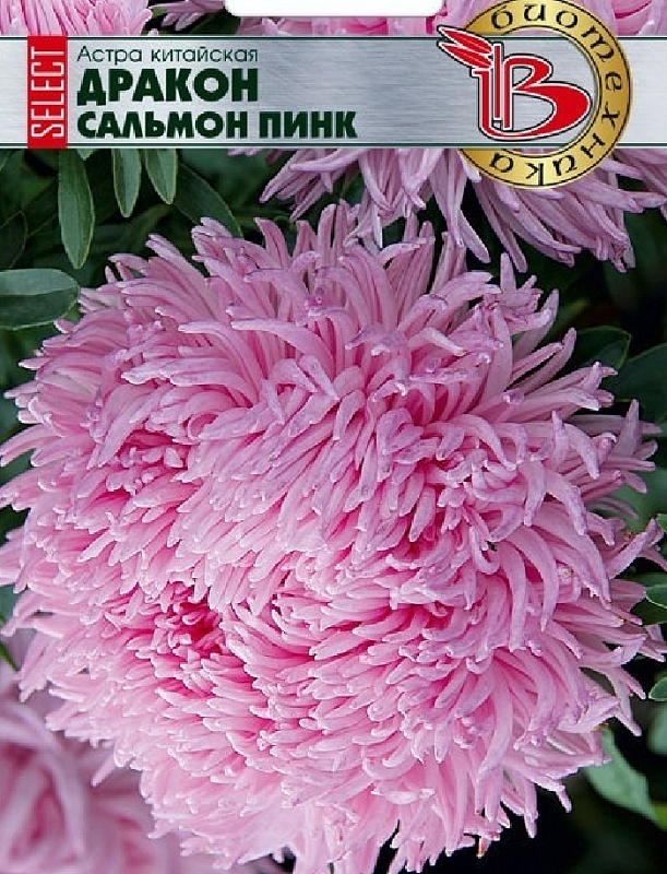 Астра Дракон селект Сальмон Пинк 30 шт