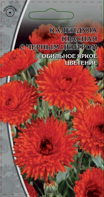 Календула Красная с черным центром  0,2 гр
