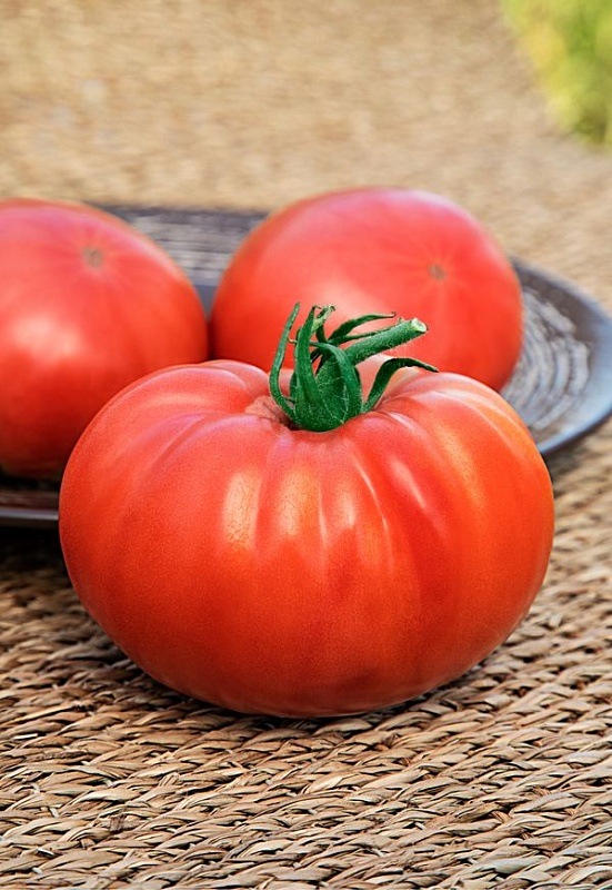 Томат Мегадор (Селекция "ВХ") 0,05 г цв/п