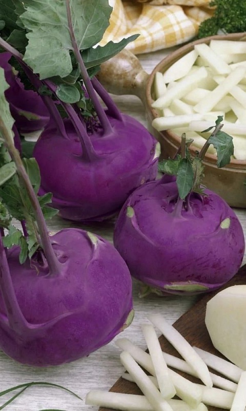 Капуста кольраби Соната F1 (УД) 0,15 гр цв.п.