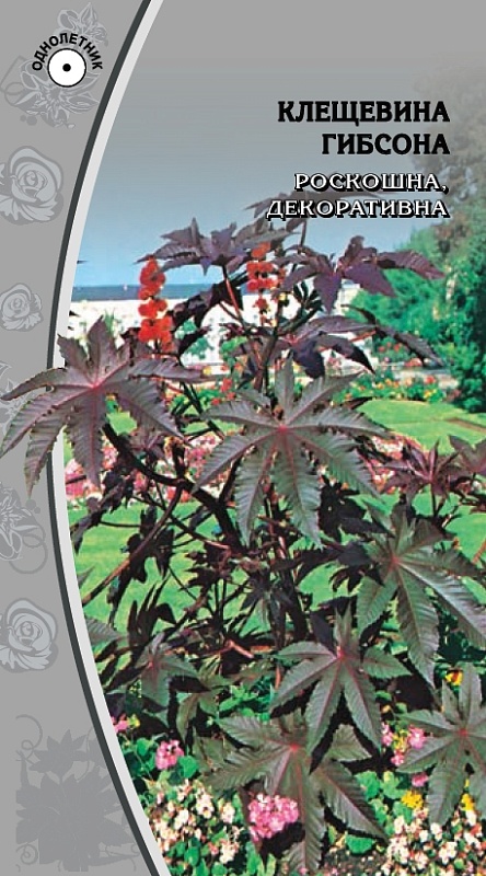 Клещевина Гибсона  1 гр