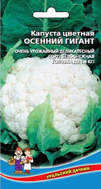 Капуста цветная Осенний гигант (УД) 0,25 гр. цв.п.