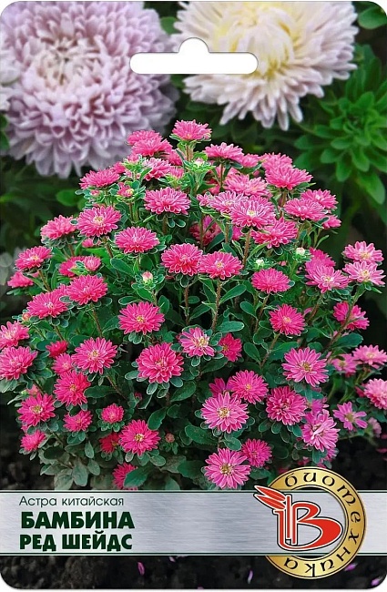 Астра Бамбина Ред Шейдс 20 шт