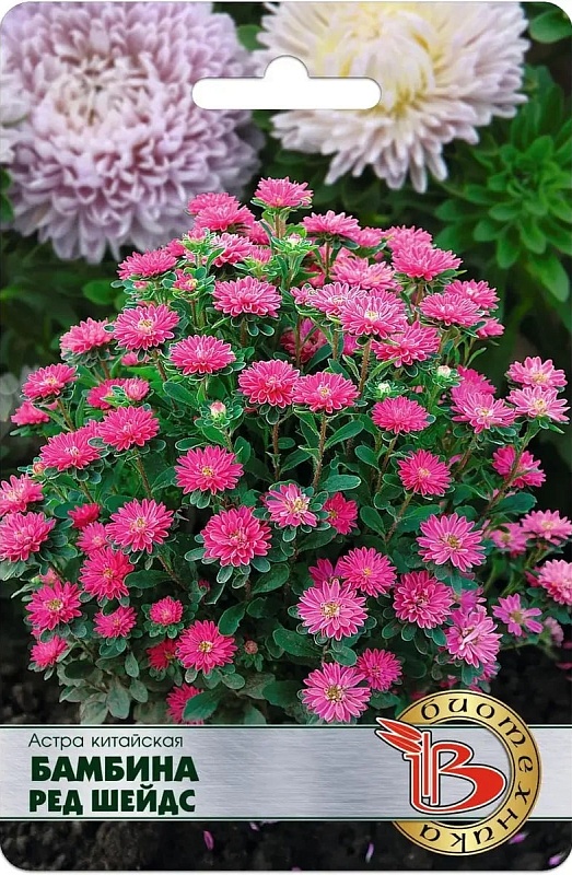 Астра Бамбина Ред Шейдс 20 шт