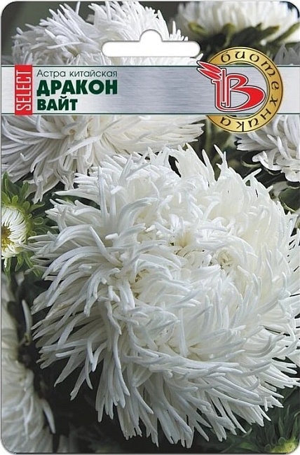 Астра Дракон селект Вайт 30 шт