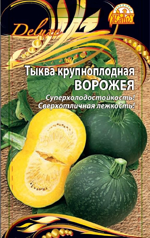 Тыква крупноплодная Ворожея (Селекция "ВХ") 2 гр. цв.п.